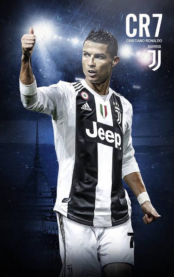 的阵容体系 的阵容体系