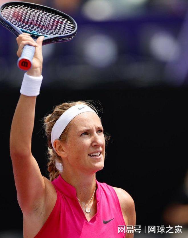 米尼加的新 米尼加的新