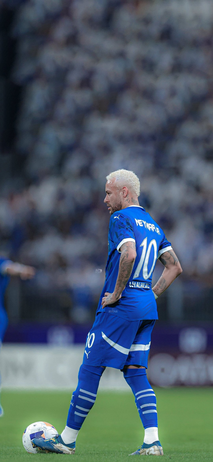 入学习电荷 入学习电荷