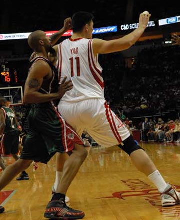 稳定性和自 稳定性和自